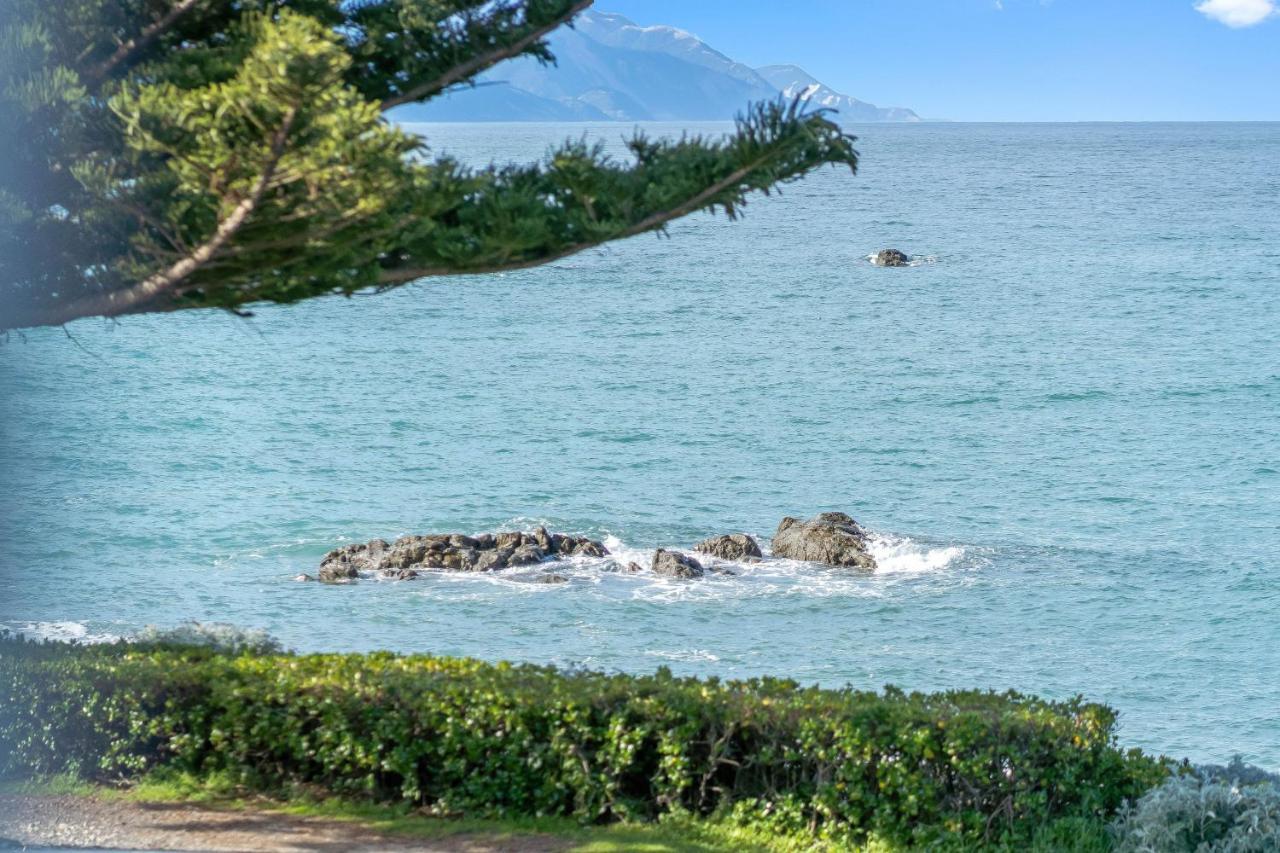 Kaikoura Waterfront Apartments Екстер'єр фото